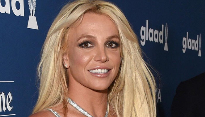 Britney Spears finally speaks out about viral plane incident