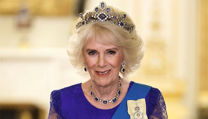 Queen Camilla turns 78: Palace celebrates with brand new portrait