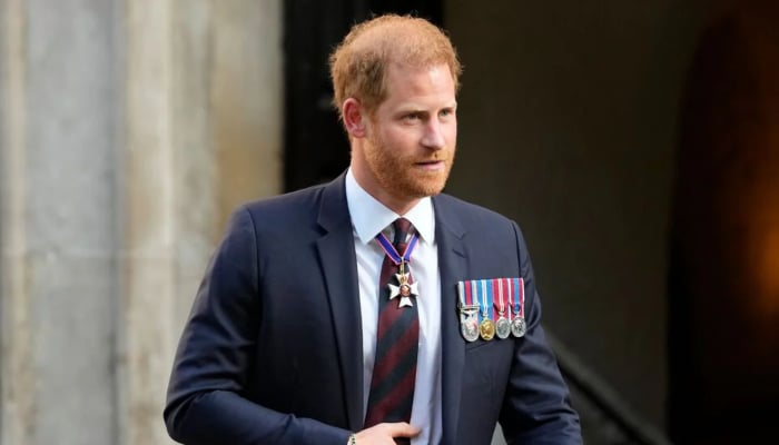 Prince Harry receives support from an unexpected royal against ‘everybody’s bullying’