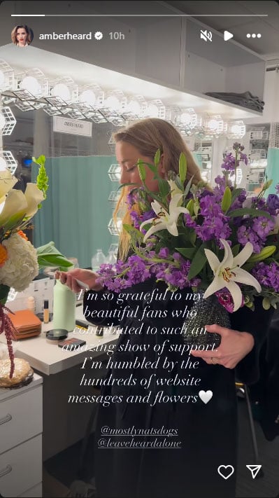 Amber Heard steps back into spotlight since welcoming twins