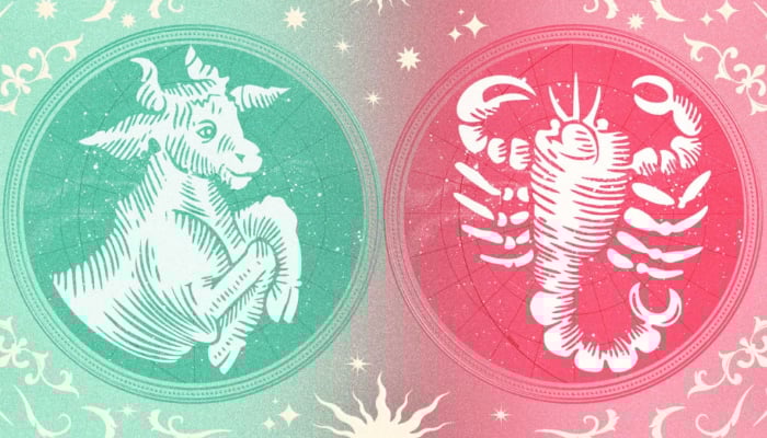 Taurus and Scorpio: Todays stars delivers shocking compatibility twist