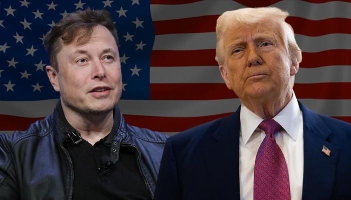 Trump denies plans to pull subsidies from Elon Musk-owned companies