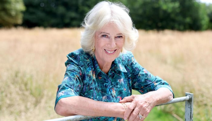 Queen Camilla’s birthday celebrations targeted in ‘hate crime’