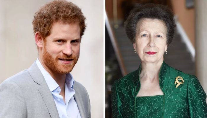 Prince Harry’s real ‘loyalty’ test to come from Princess Anne?
