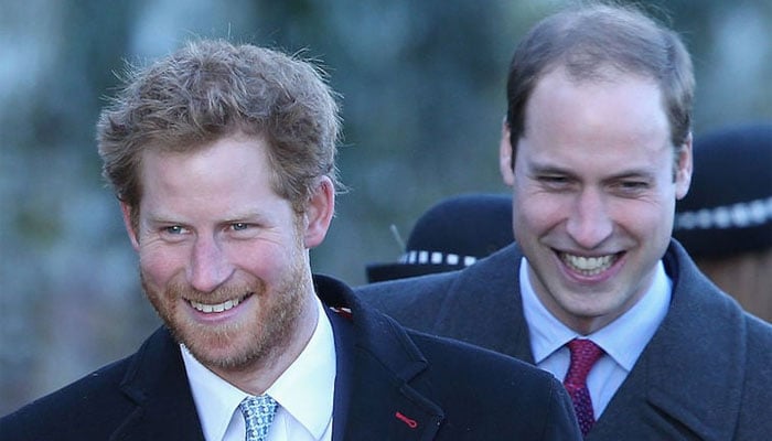 Prince Harry’s new bombshell move dubbed ‘significant gesture’ towards Prince William