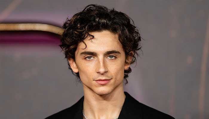 Top 8 internet boyfriends from Hollywood: Who is your favorite?