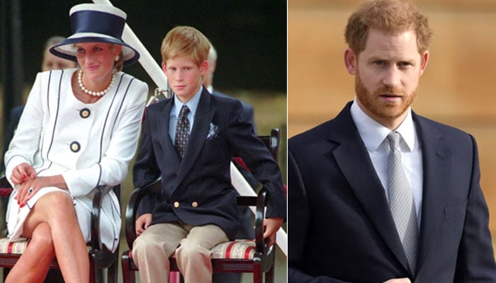 Diana’s test and Harry’s doubt: Truth about the unexpected royal paternity scandal