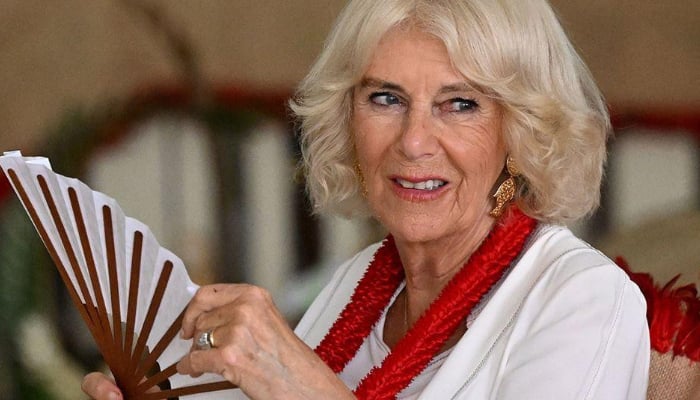 Queen Camillas secrets that Palace tried to hide