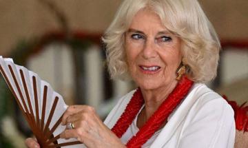 Queen Camilla's hidden past resurfaces