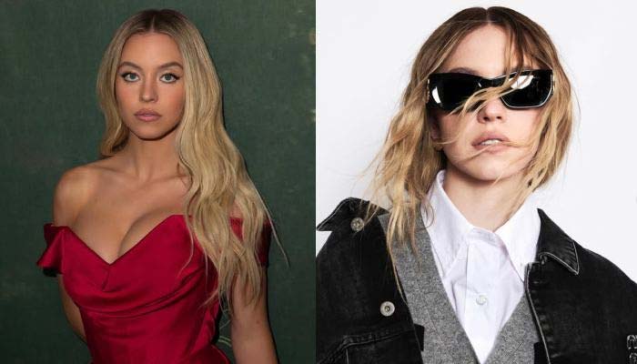 Six celebrities who redefined beauty standards and rose to fame as internet Queens