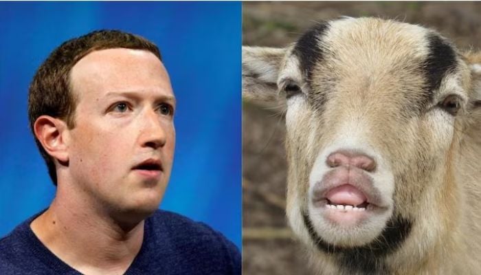 10 mind-blowing facts about Mark Zuckerberg that will leave you stunned