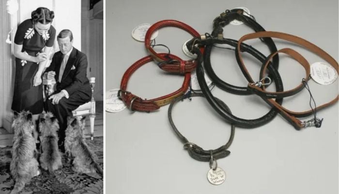 Weirdest items auctioned from royal family’s collection