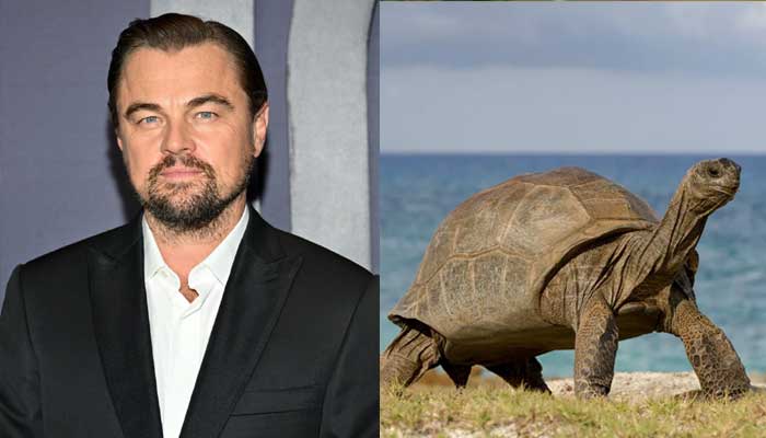 Bizarre buddies: Hollywood celebs with the strangest pets!