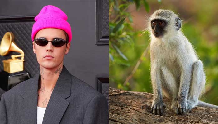 Bizarre buddies: Hollywood celebs with the strangest pets!