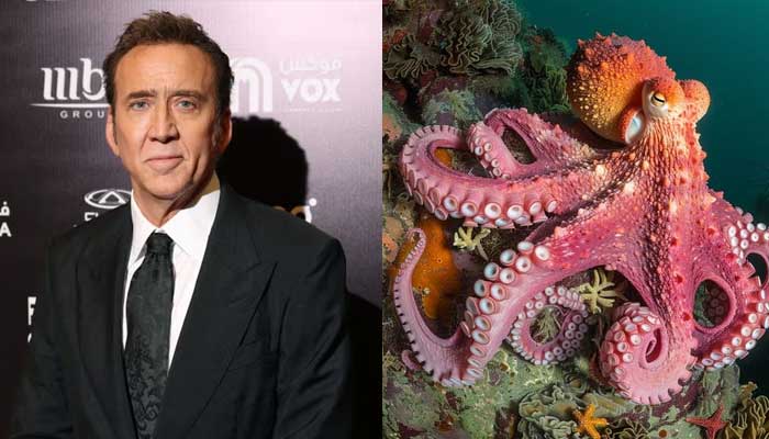 Bizarre buddies: Hollywood celebs with the strangest pets!