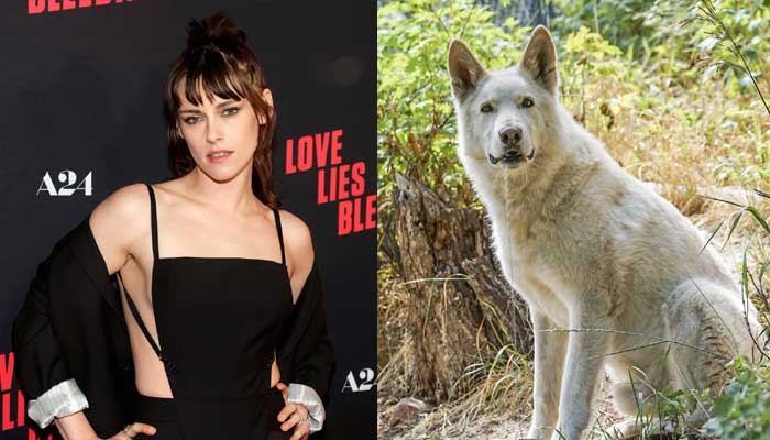 Bizarre buddies: Hollywood celebs with the strangest pets!