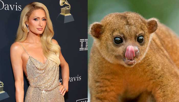 Bizarre buddies: Hollywood celebs with the strangest pets!