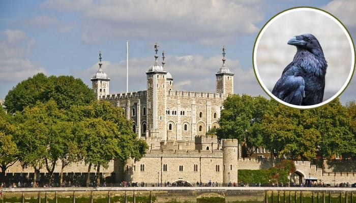 Royal Family superstitions that reveal the hidden side of Monarchy life?