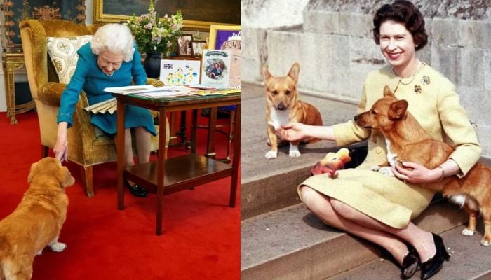 Fascinating facts about Queen Elizabeth II that show her remarkable life