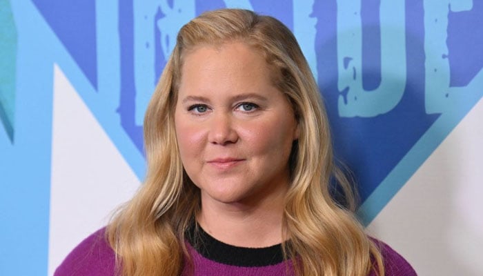 Hollywoods rollercoaster stars who failed to become A-listers