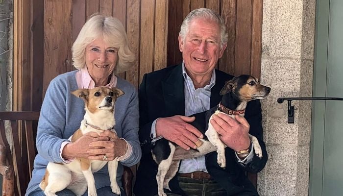 The British Royal family have embraced life as dog owners?