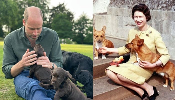 A closer look at the Royal family’s timeless bond with pet canines