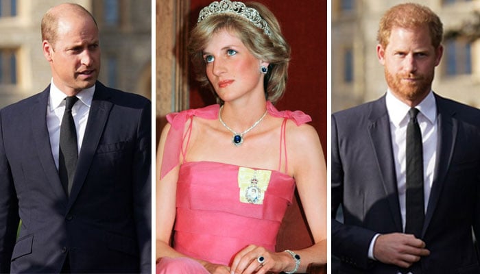 Princess Diana’s Legacy: How  Prince William and Harry honour the People’s Princess