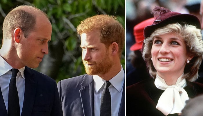 Princess Diana’s wish for Prince William and Harry: “Two boys for a reason”