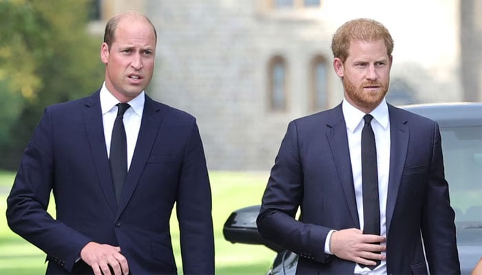 Prince William wants Prince Harry to stay in America For Good: Heres Why