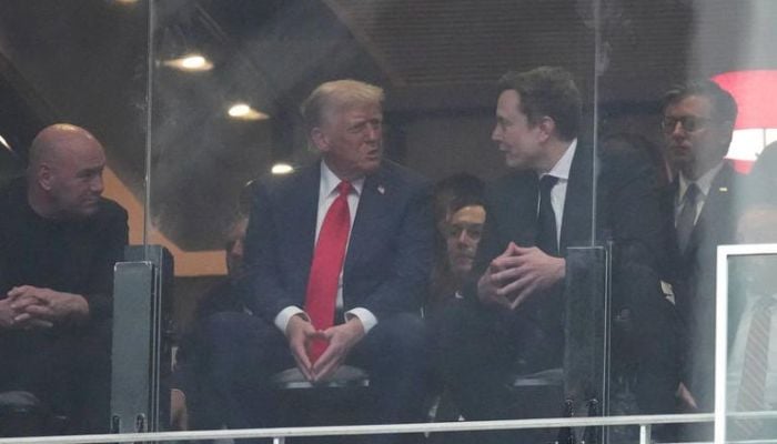 Trump, Musk unite for AI deal: Is a new era of friendship in the making?