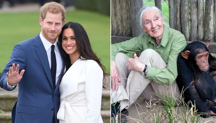 Prince Harry and Meghan Markle remember Jane Goodall: She will be deeply missed
