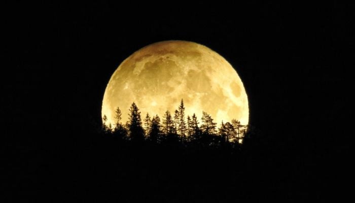 First supermoon of 2025: Harvest Moon to brighten skies on October 6
