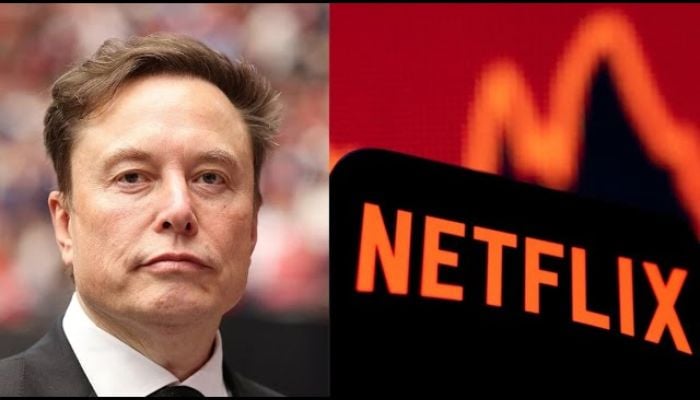 Netflix loses billions as Elon Musk calls for users to cancel subscriptions