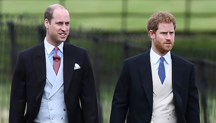 Prince William gives subtle nod to Prince Harry in candid TV appearance