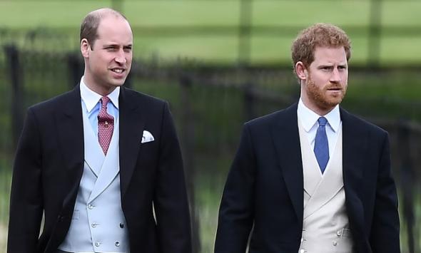 Prince William gives subtle nod to Prince Harry in candid TV appearance