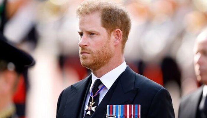 Prince Harry’s worst fears reemerge as further details surface in stalker incident