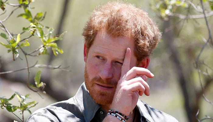 Prince Harry’s African charity suspended by Chad: Latest blow pertains to allegations of mismanagement
