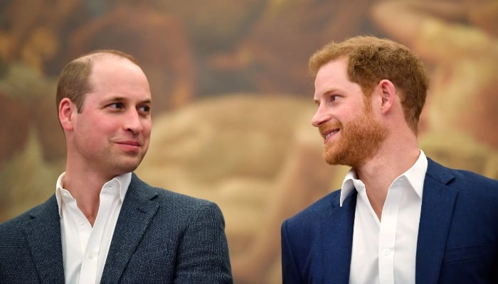 Prince Harry and Prince William’s strained relationship hits another rough patch?