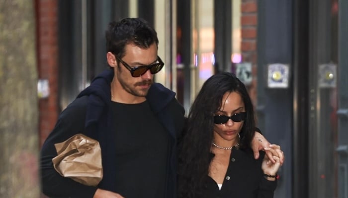 Harry Styles, Zoë Kravitz take major step forward in their relationship