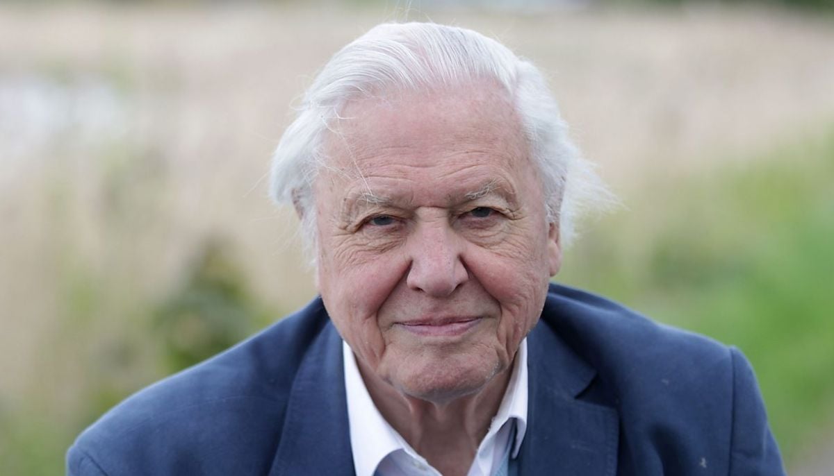 Sir David Attenborough embarks on three new BBC adventures ahead of his 100th birthday