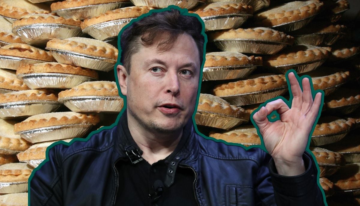 Does Elon Musk really own a bakery? The truth behind his venture will surprise you