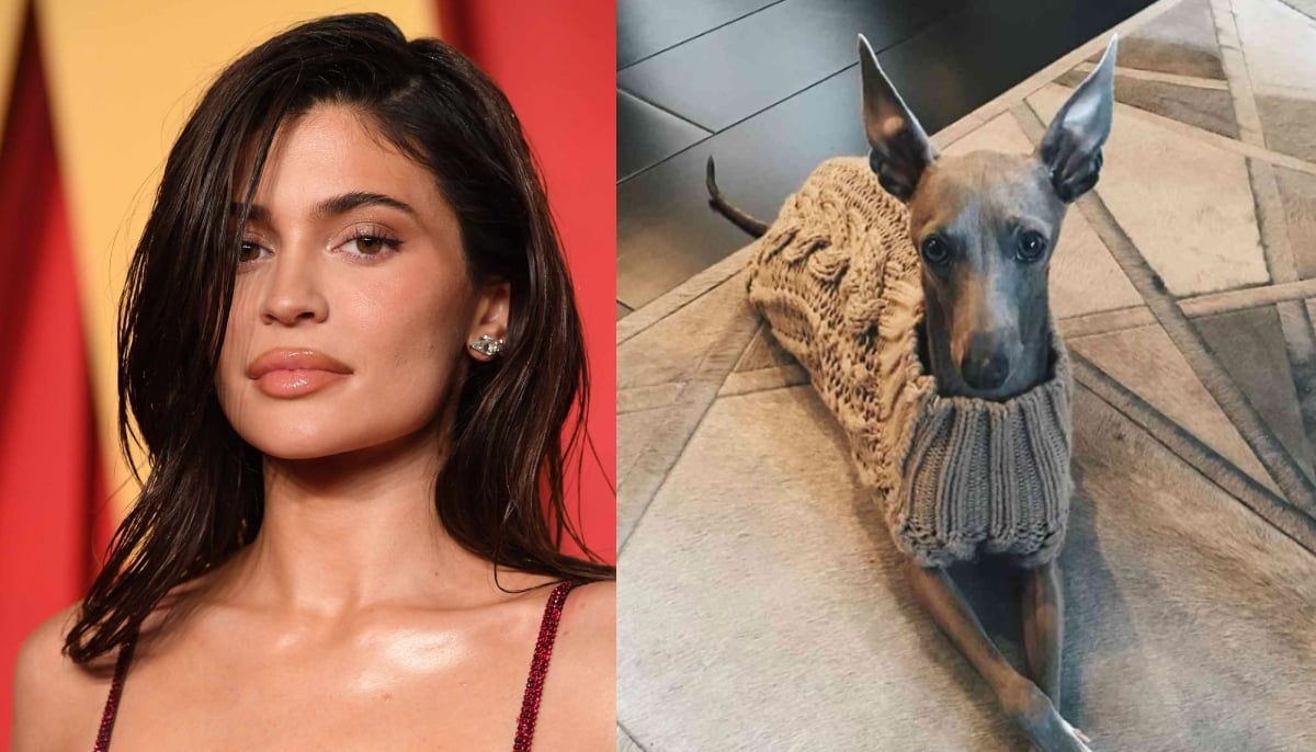 Kylie Jenner shares heartbreaking news that might leave you in tears