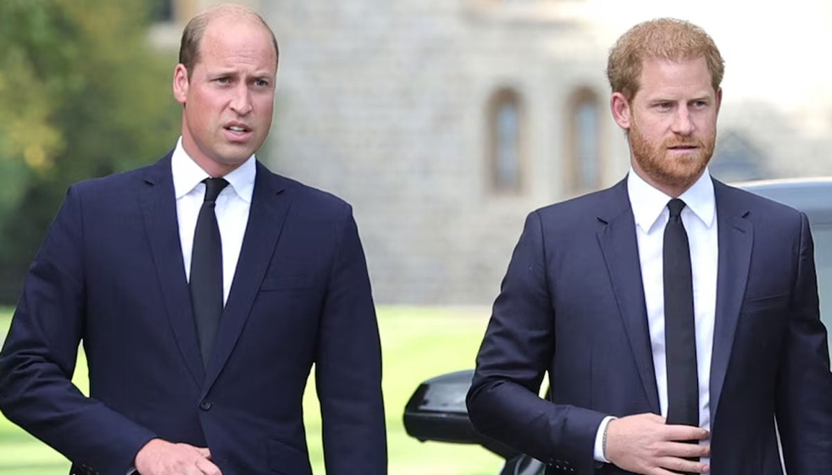 Prince William’s secret terms for reunion with Prince Harry exposed