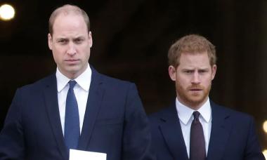 Prince William and Harry’s aunt involved in shocking accident