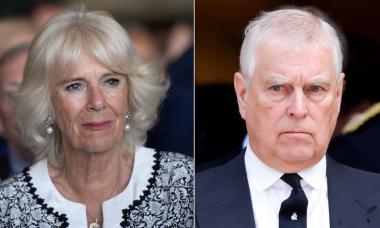 Queen Camilla steps up to repair royal family’s reputation amid Prince Andrew controversy