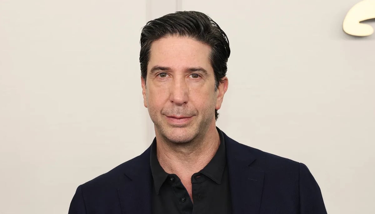 Celebrity Birthdays on November 2nd - Sunny Sandler, David Schwimmer, Nelly born today