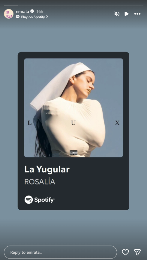 Emily Ratajkowski Instagram Story