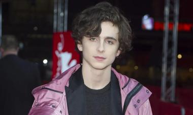 Secret behind Timothée Chalamet’s pink coat that almost ended his career