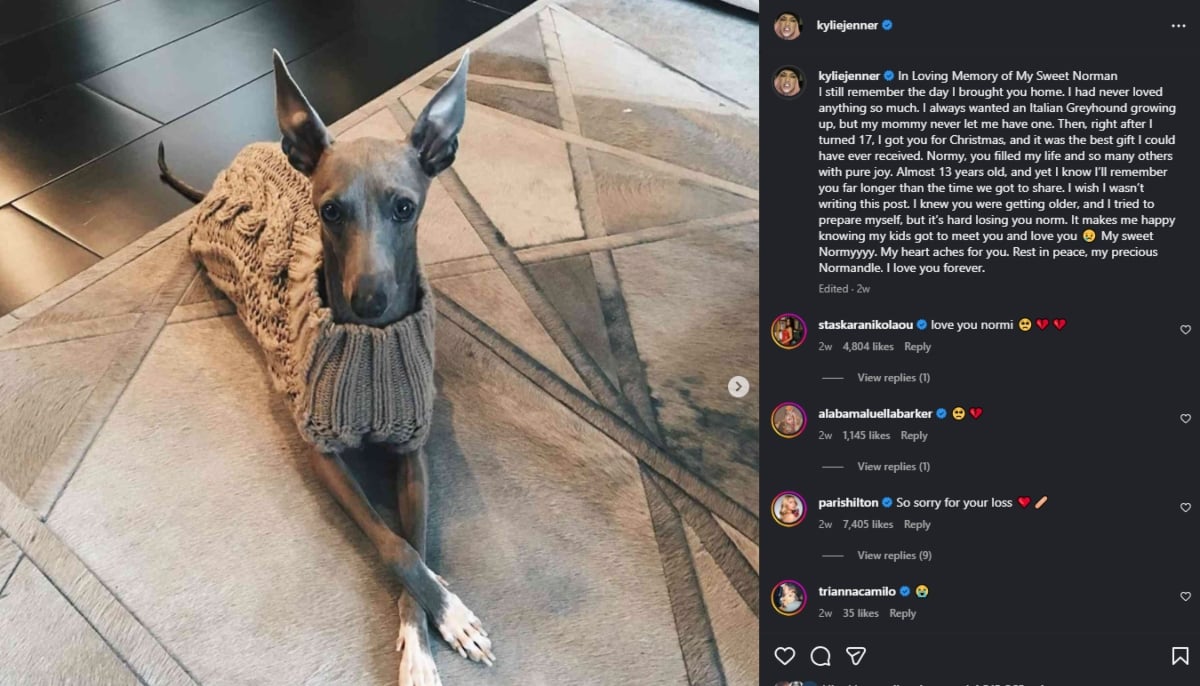 Credits: Kylie Jenner Instagram Post