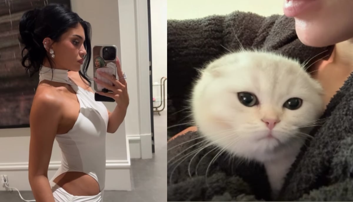Meet Kylie Jenner new friend a fluffy White Kitten